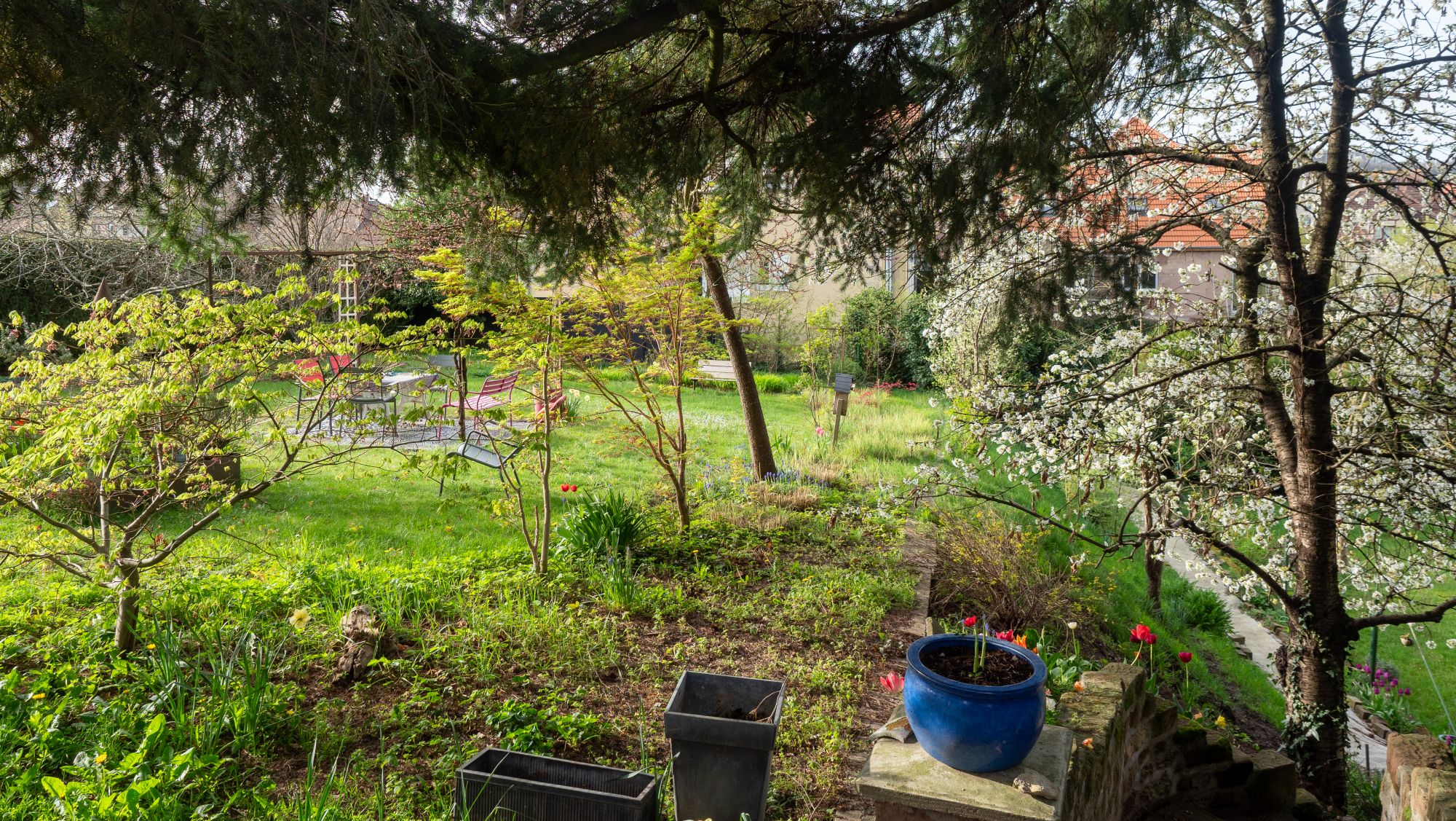 Le jardin de Michel_Michel Campion (1)