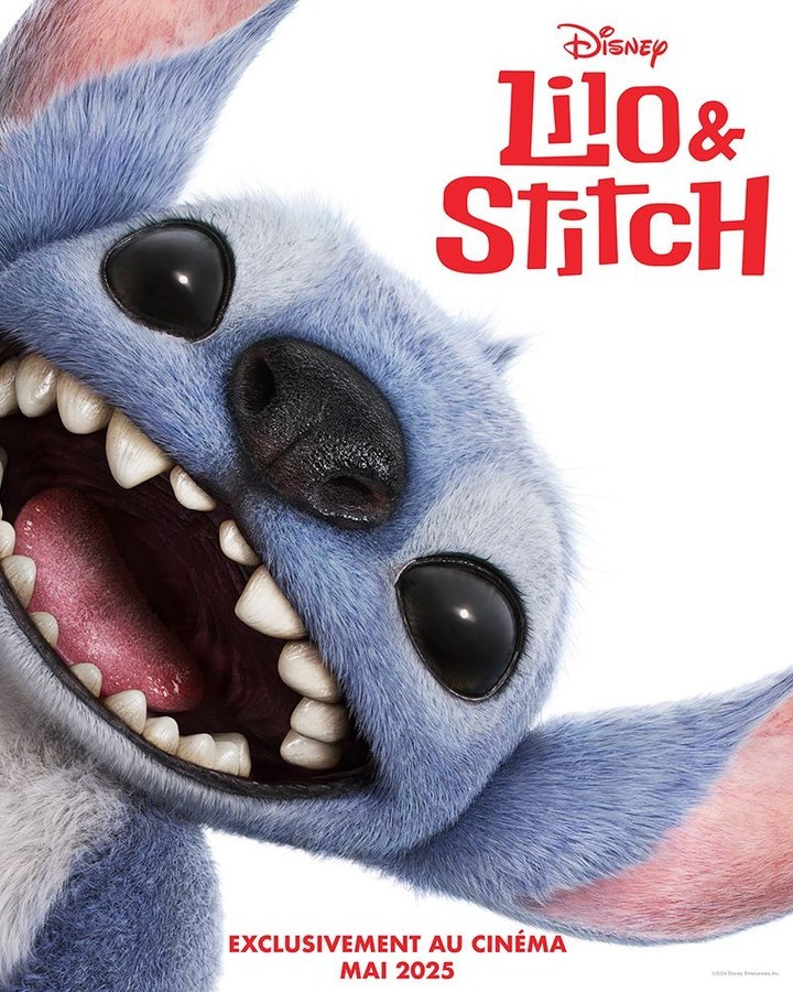 affiche_2b581769bfedad4469daf7d3769bdc9b_lilo-stitch