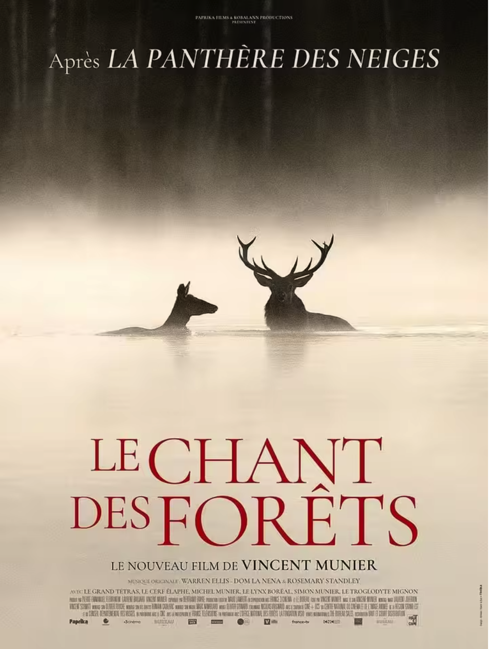 Image 27-01-2026 à 13_55