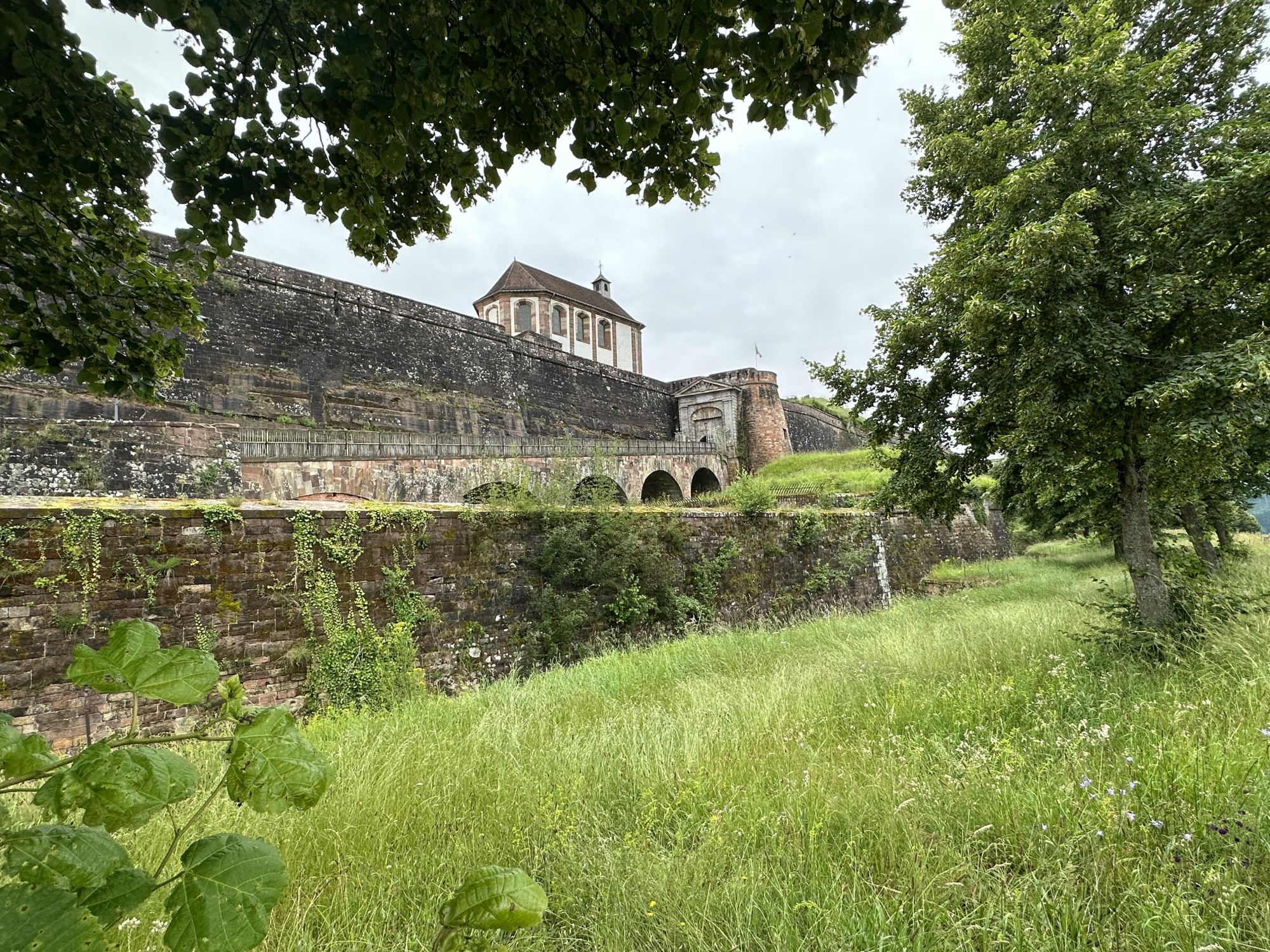 citadelle bitche _ A. Rat