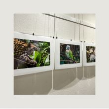 Photos oeuvres Tellok Insta