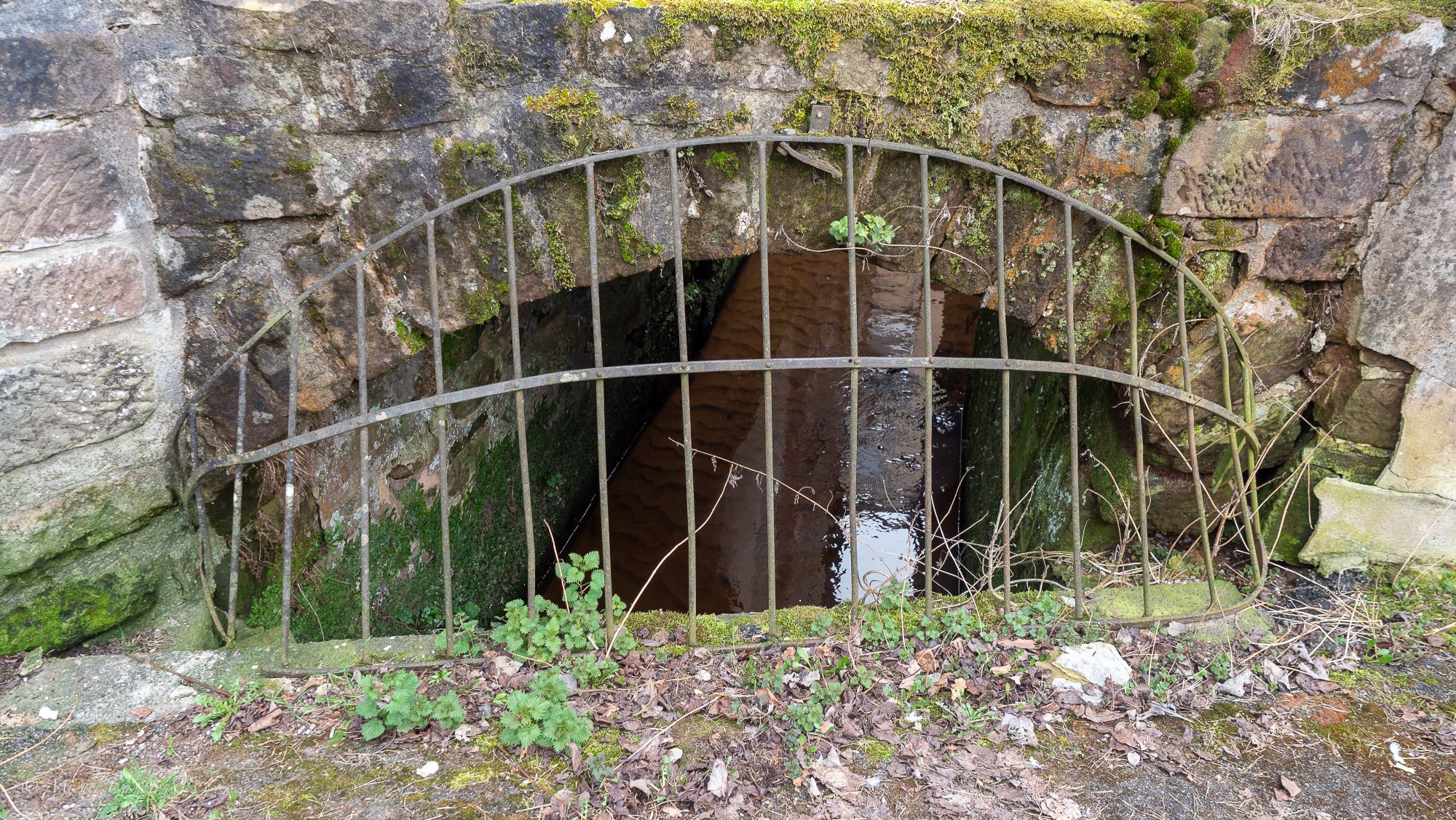 PARCOURS ARCHI-118